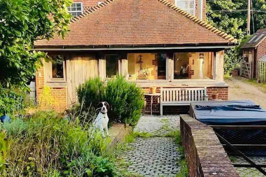 Nature Charm & Fruit Delights, Multi-Generation Celebratory Home -Try, Relax, Repeat - Sellindge Ashford  Kültér fotó