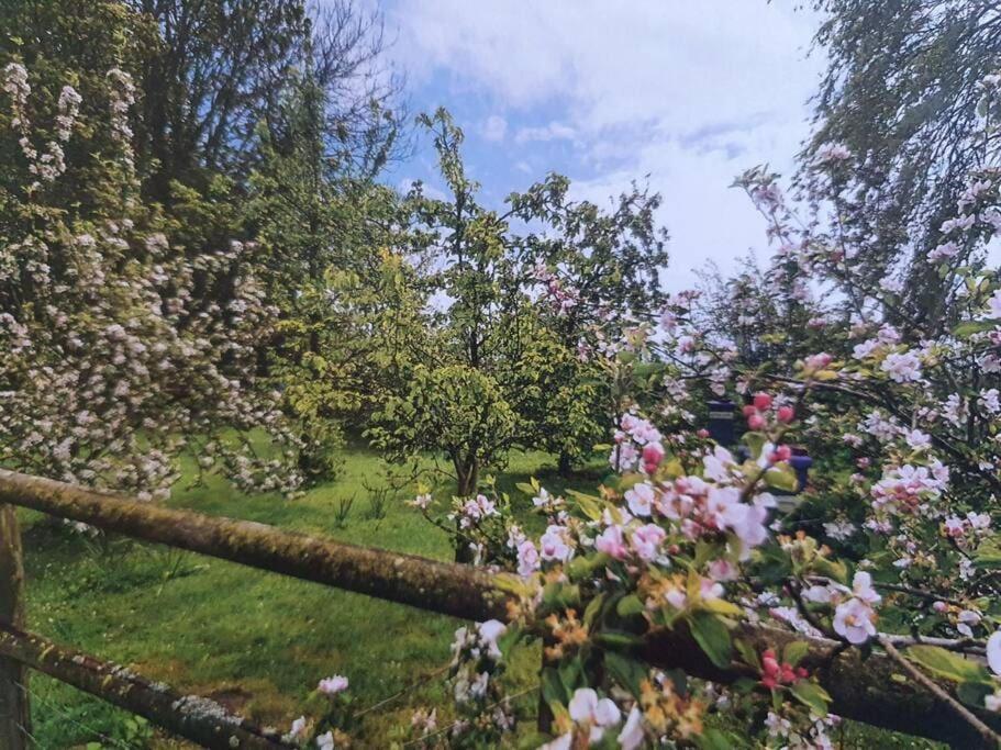 Nature Charm & Fruit Delights, Multi-Generation Celebratory Home -Try, Relax, Repeat - Sellindge Ashford  Kültér fotó
