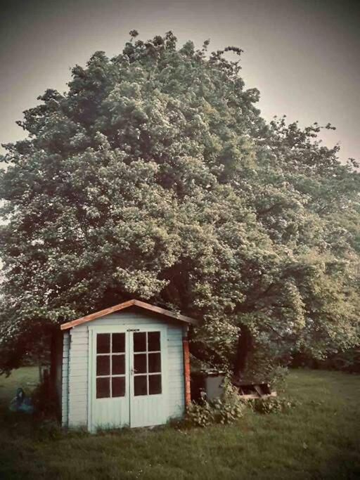 Nature Charm & Fruit Delights, Multi-Generation Celebratory Home -Try, Relax, Repeat - Sellindge Ashford  Kültér fotó