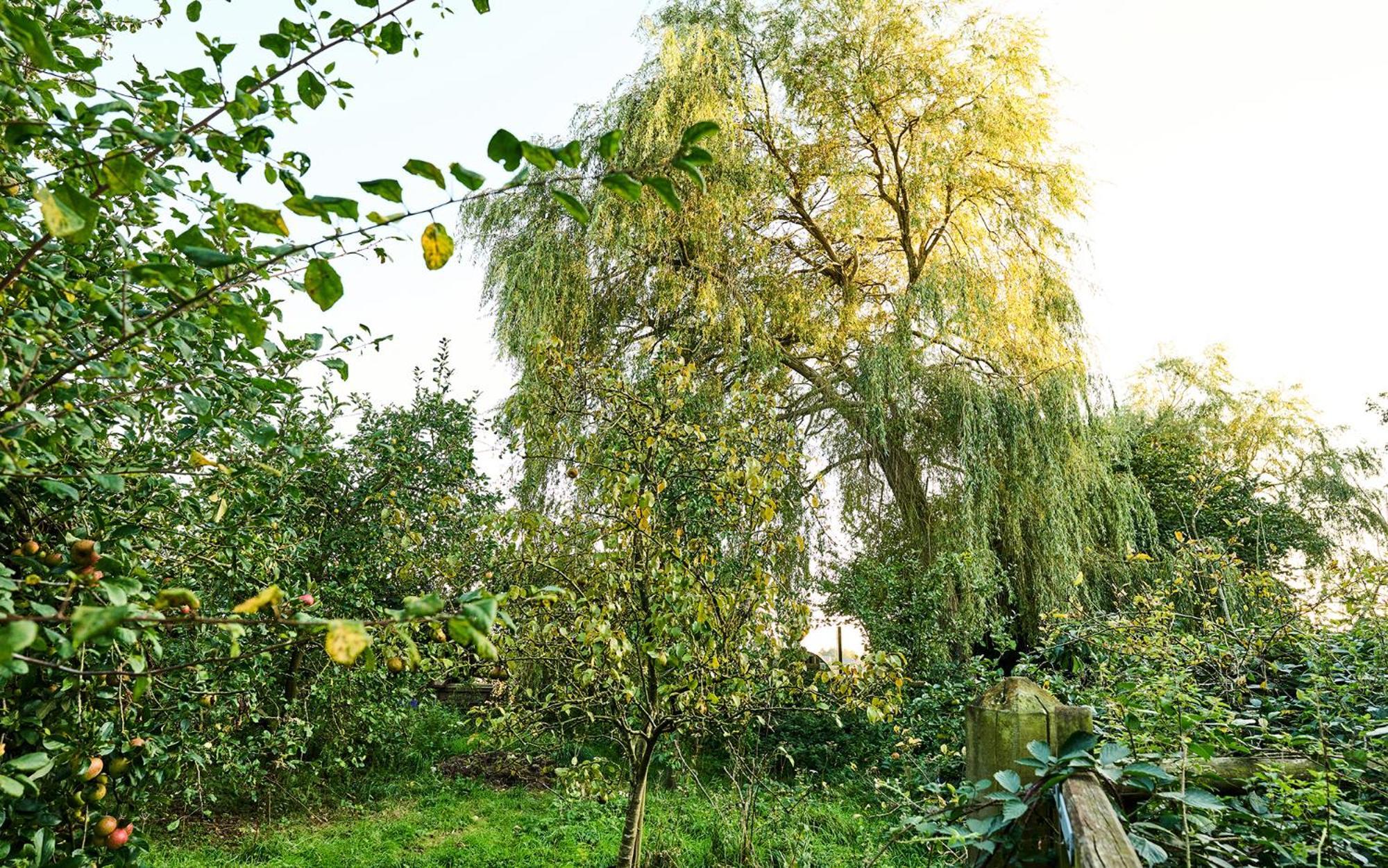 Nature Charm & Fruit Delights, Multi-Generation Celebratory Home -Try, Relax, Repeat - Sellindge Ashford  Kültér fotó
